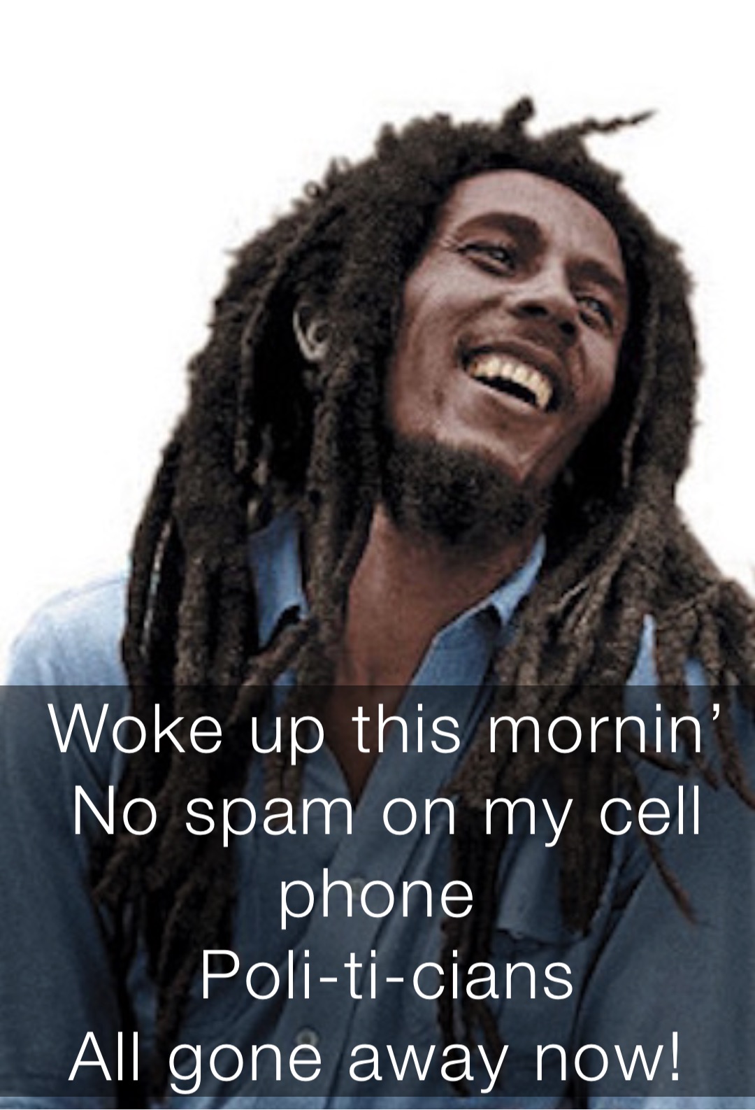 Woke up this mornin’ 
No spam on my cell phone
Poli-ti-cians 
All gone away now!