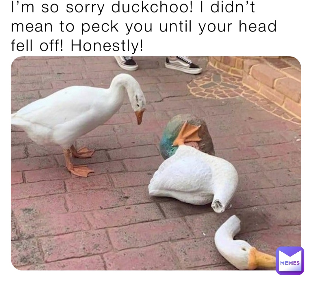 I’m so sorry duckchoo! I didn’t mean to peck you until your head fell off! Honestly!