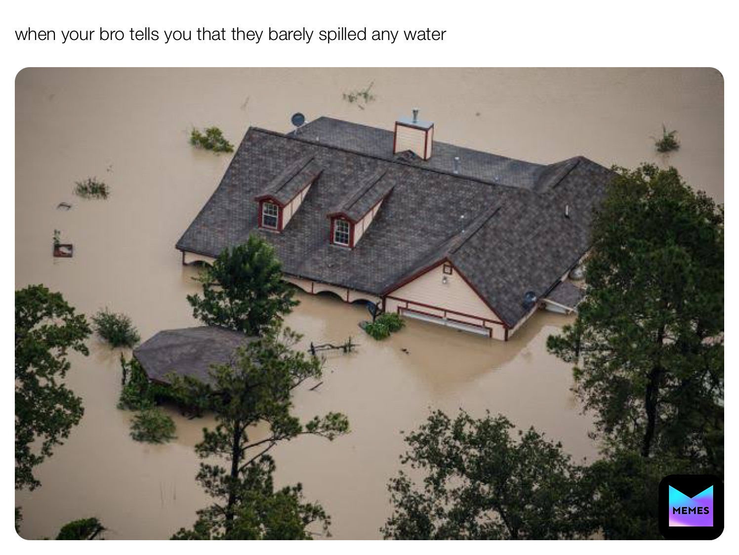 Meme by The12DaysOfMemes