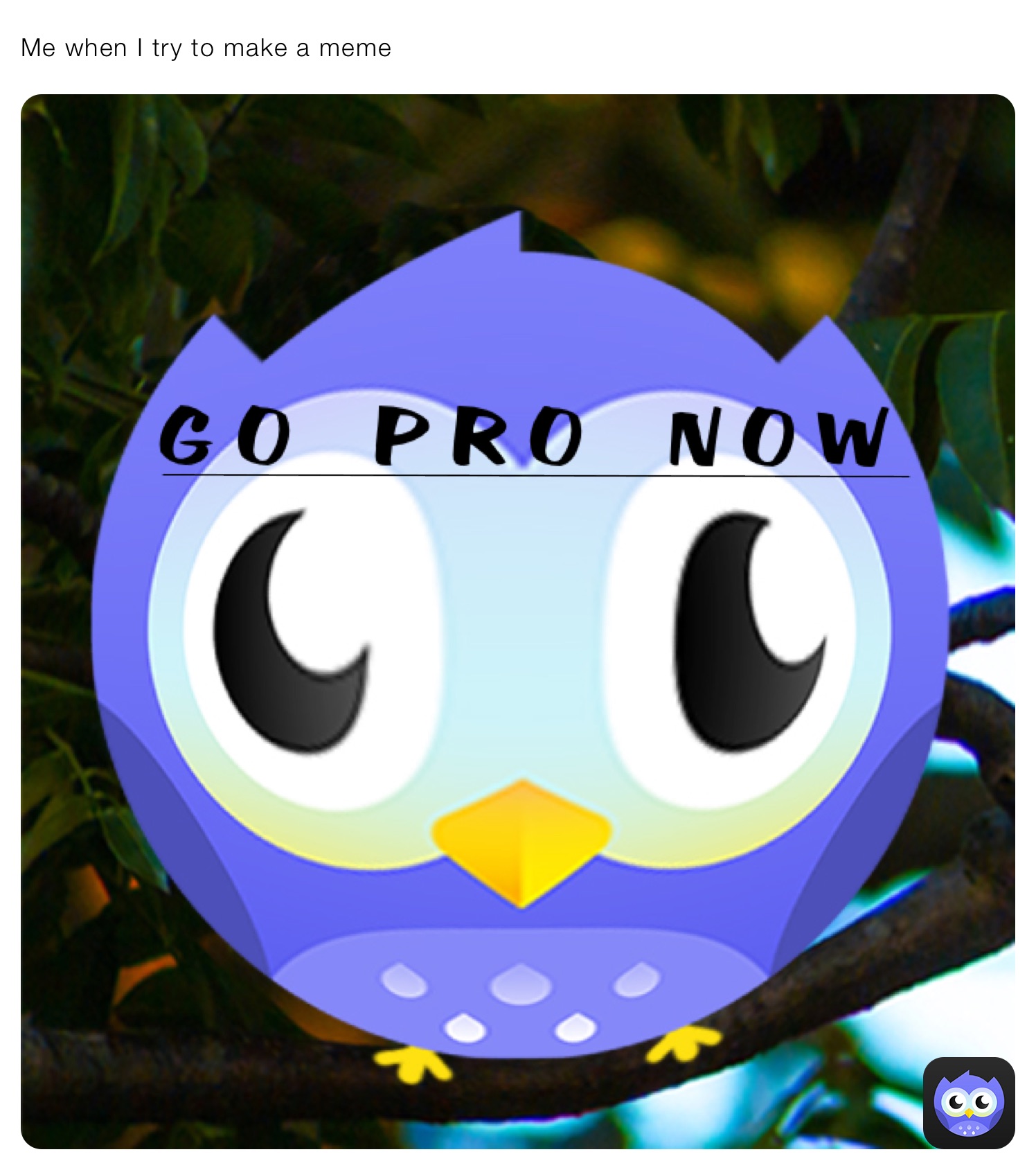 Meme by The12DaysOfMemes