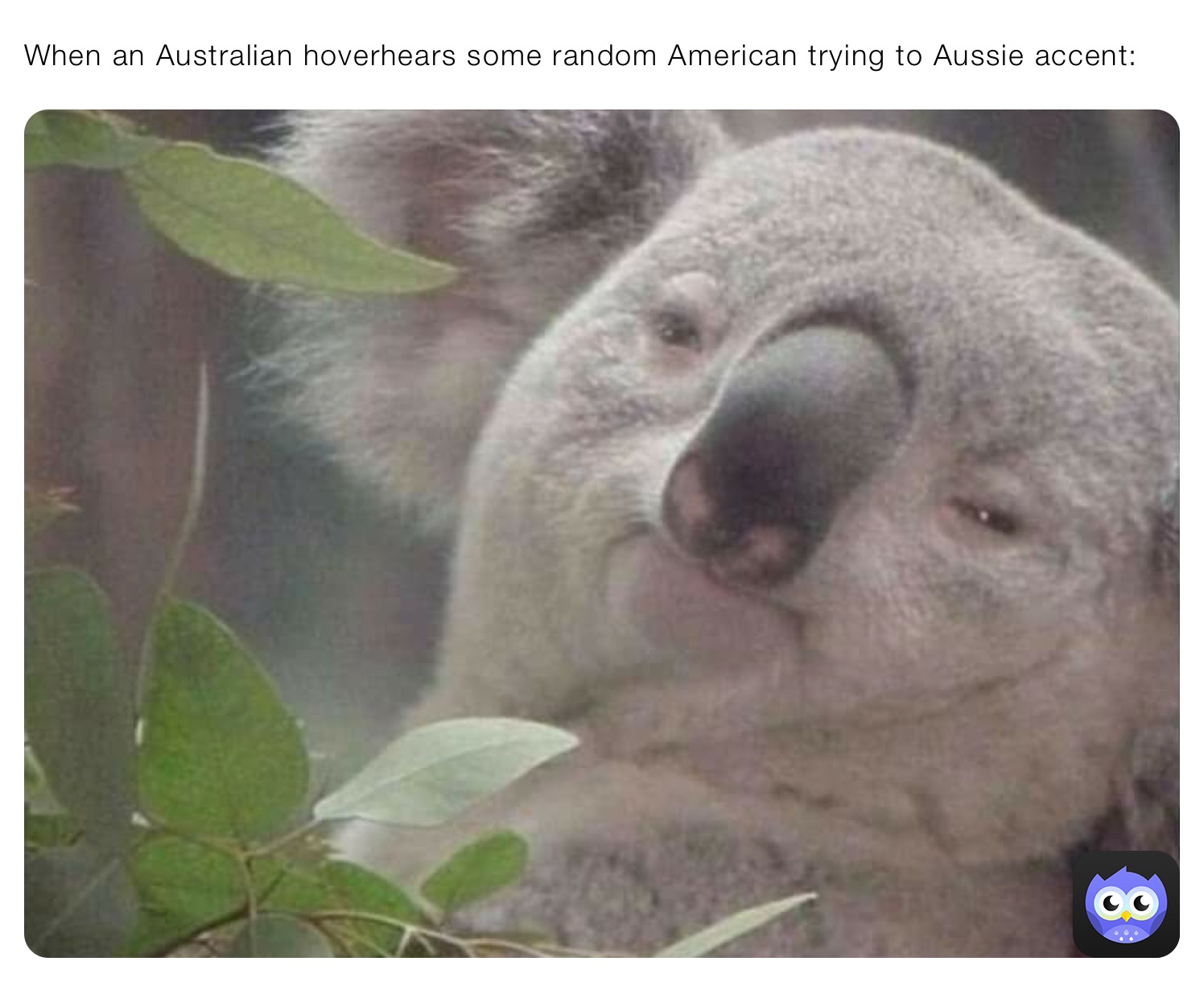 When an Australian hoverhears some random American trying to Aussie accent: