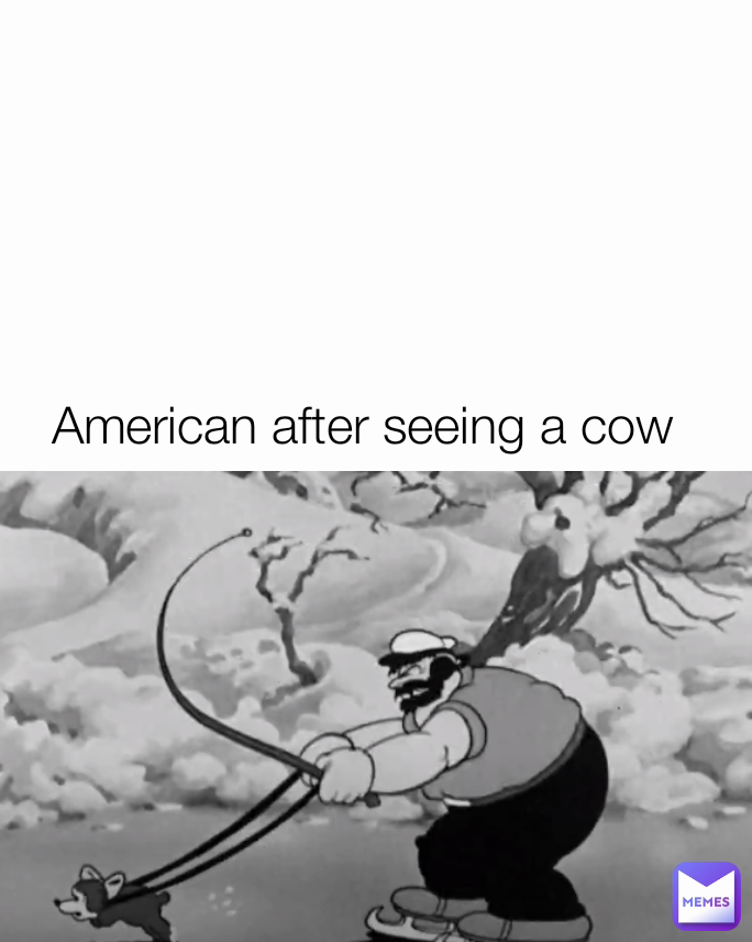 American after seeing a cow 