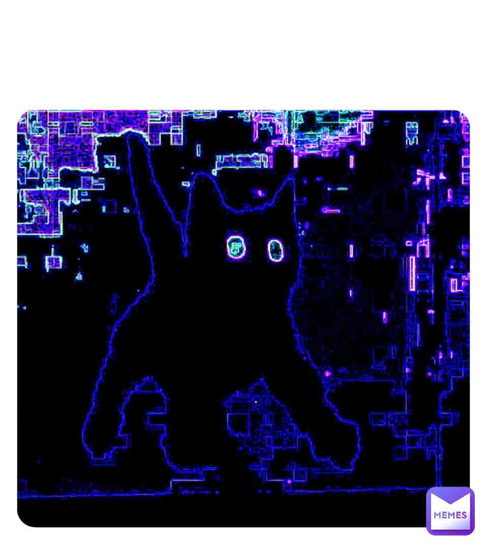 the cat is ANGRY