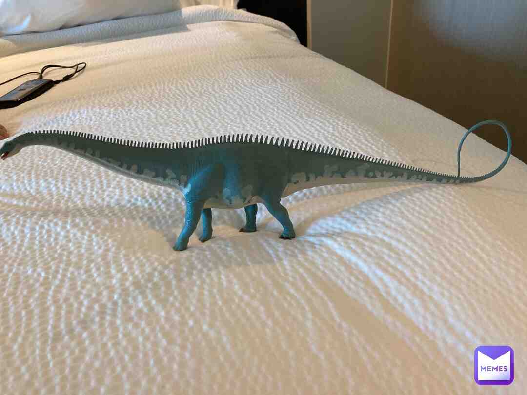 got a long boi on vacation