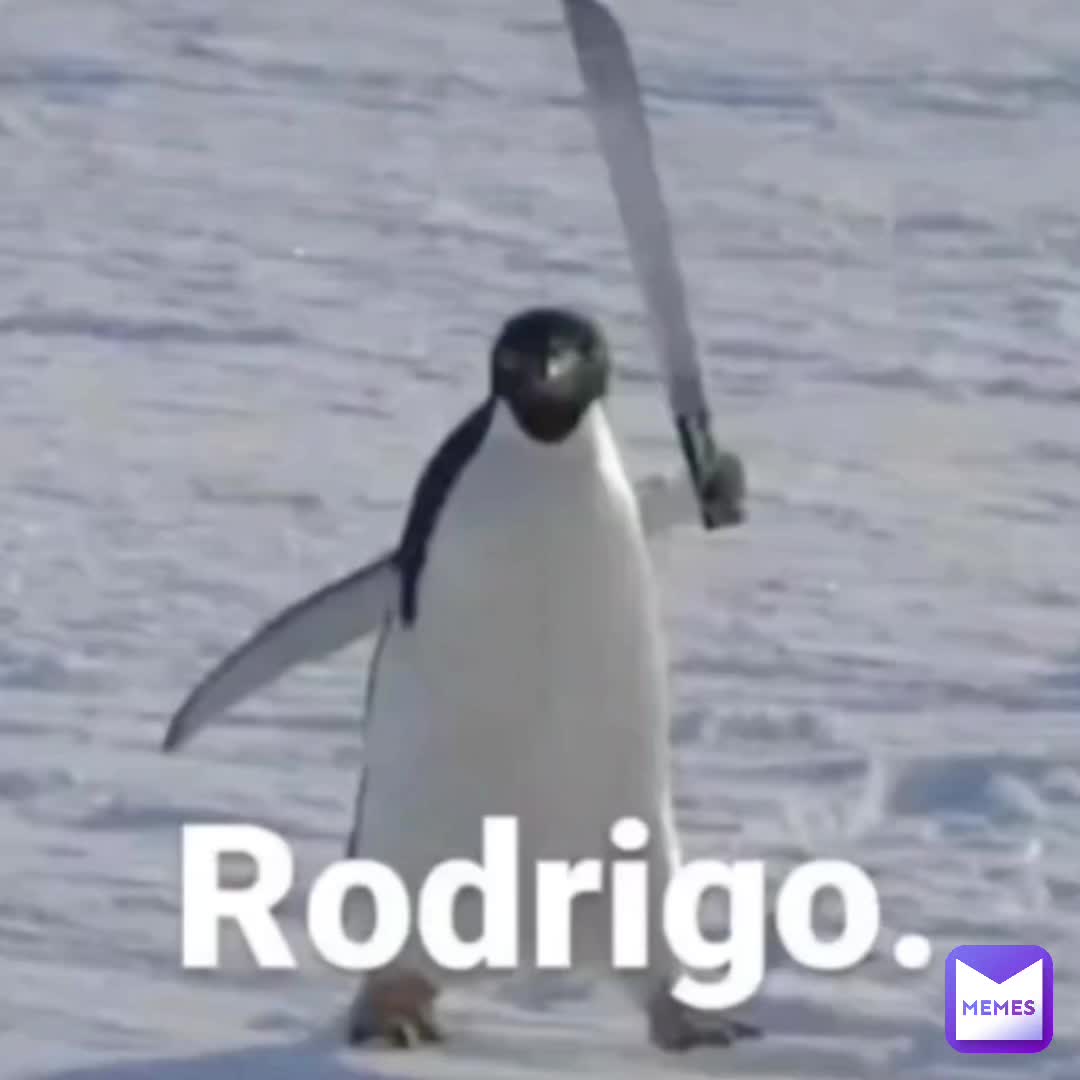 Rodrigo