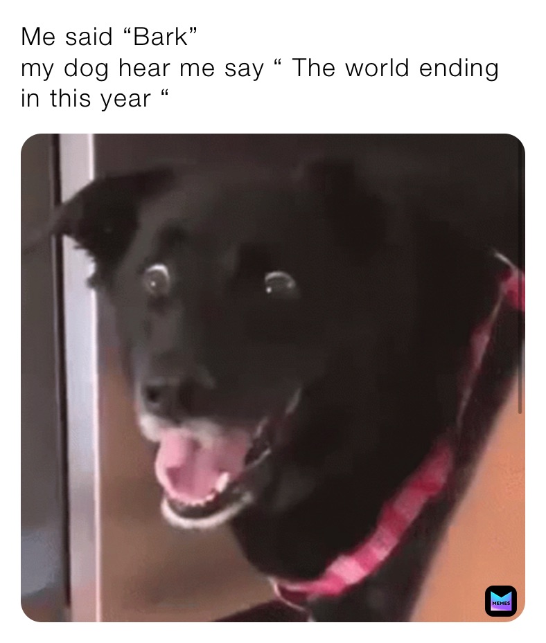 Me Said Bark My Dog Hear Me Say The World Ending In This Year Okaylookinggamer Memes