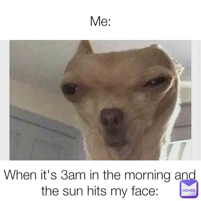 Me: When it's 3am in the morning and the sun hits my face: