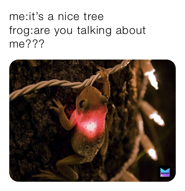 me:it’s a nice tree
frog:are you talking about me???