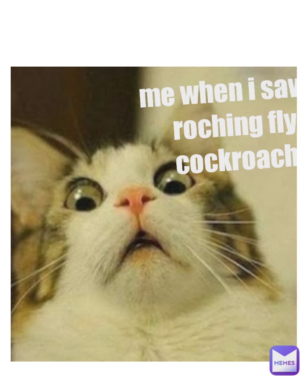 Type Text