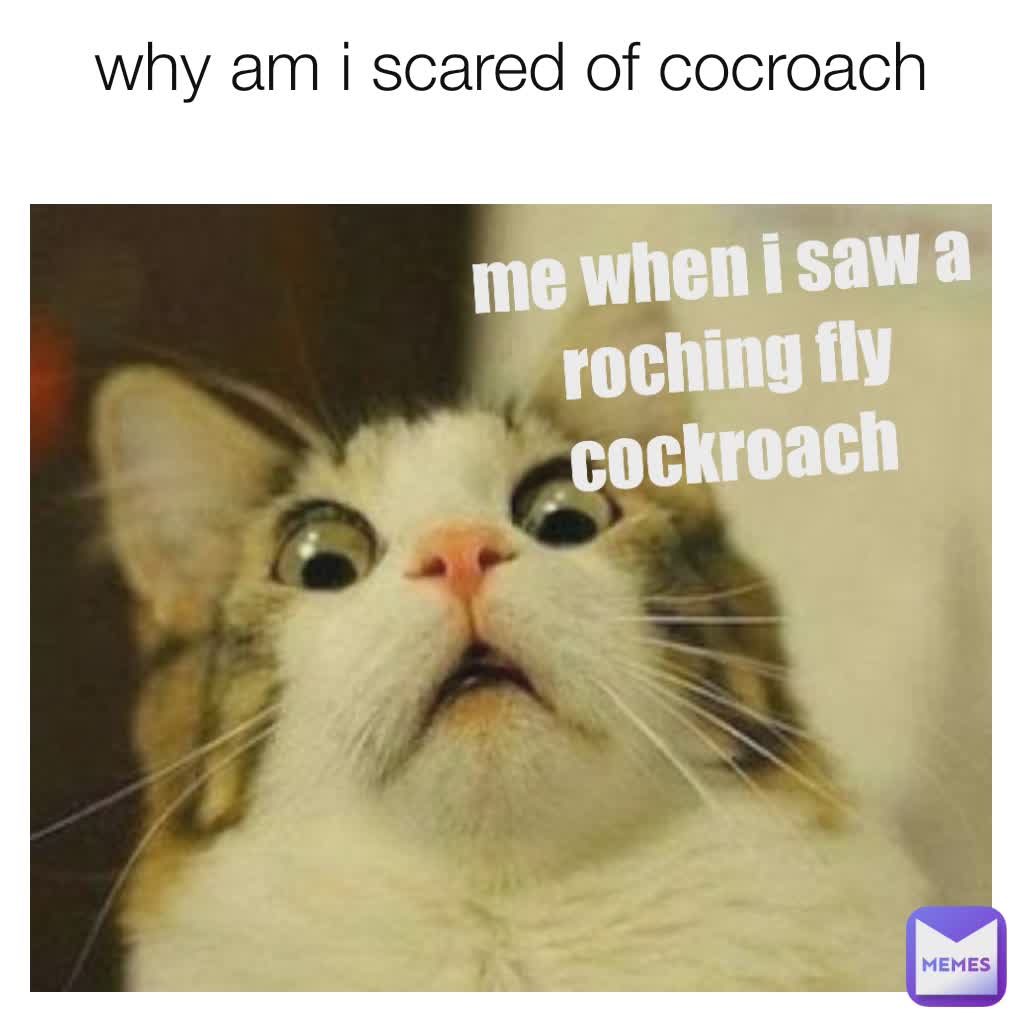 why am i scared of cocroach
