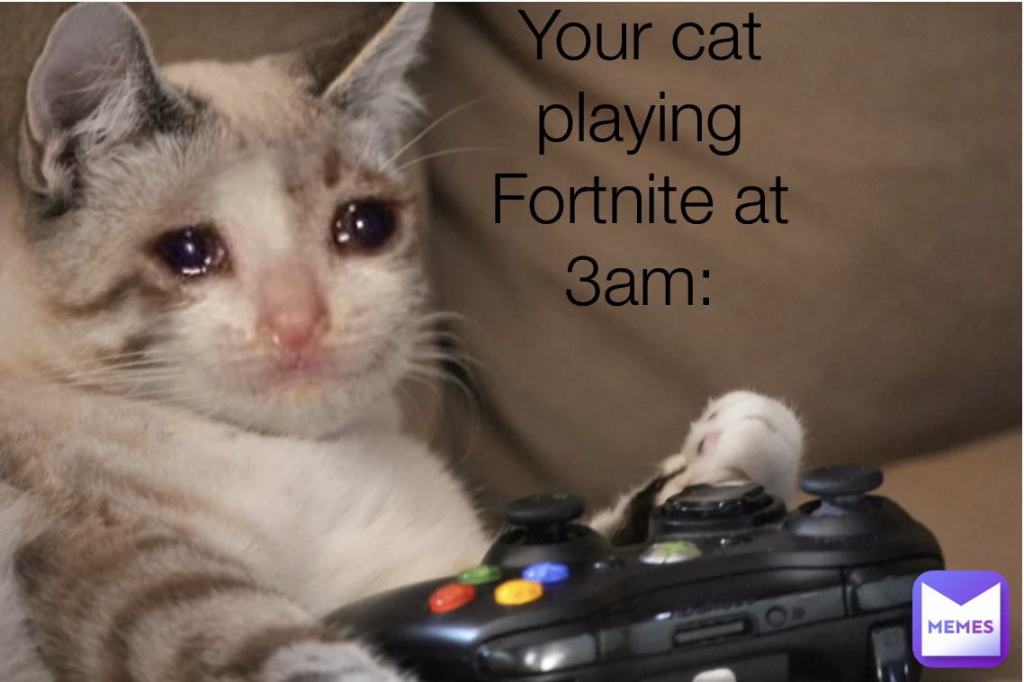 Me teaching my cat how to play fortnite him being a pro and then