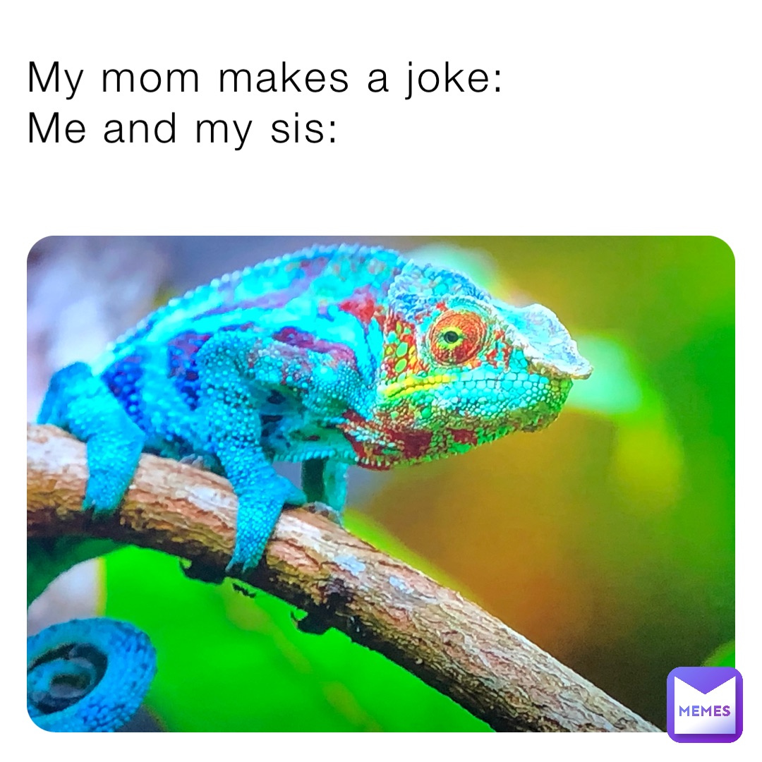 My mom makes a joke:
Me and my sis: