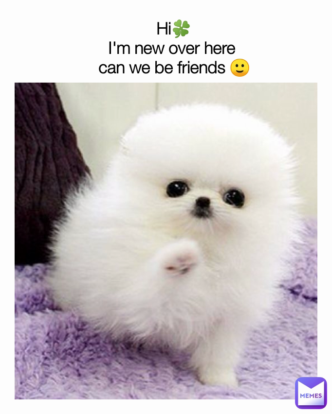 Meme by jamyang-selden