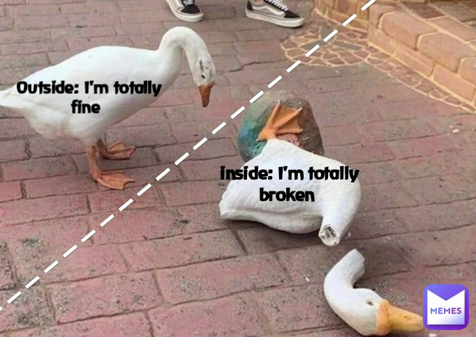 inside: I'm totally broken  ----------------------------- Outside: I'm totally fine 