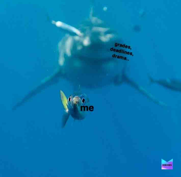 it’s coming guys   #memes   #dank   #dankmemes   #deadlines   #grades   #school   #drama   #tea @dankmemes @dank