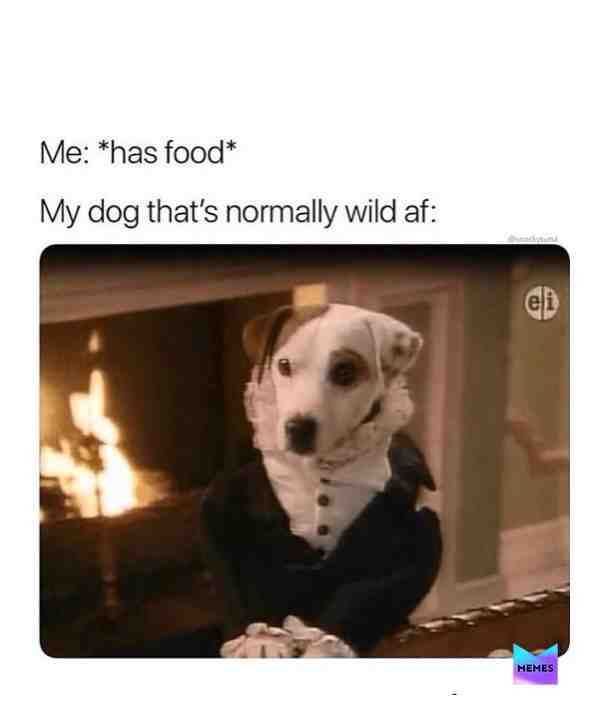 night all ! \u270c\ufe0f\ud83c\udf1a\ud83d\udca4
\u2022
\u2022
\u2022
\u2022
\u2022
#meme #memes #dankmemes #lmao #cringe #filthyfrank #edgy #dank #lmfao #fnaf #relatable #papafranku #nochill #autism #dankmeme #kek #4chan #weeaboo #ayylmao #hilarious #textpost #humor #triggered #savage #pepe #cancer #textposts #comedy #mlg #minecraft