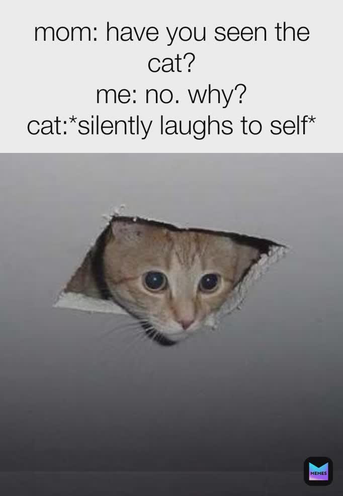 Meme by Julie_meme_maker