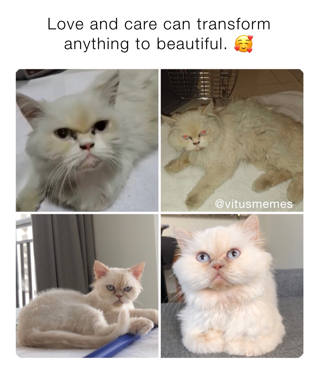Love and care can transform anything to beautiful. 🥰