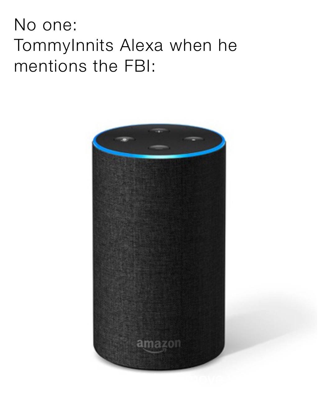 No one:
TommyInnits Alexa when he mentions the FBI: