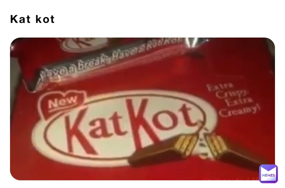 Kat kot