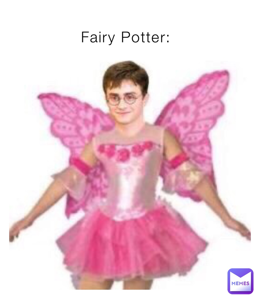 Fairy Potter:
