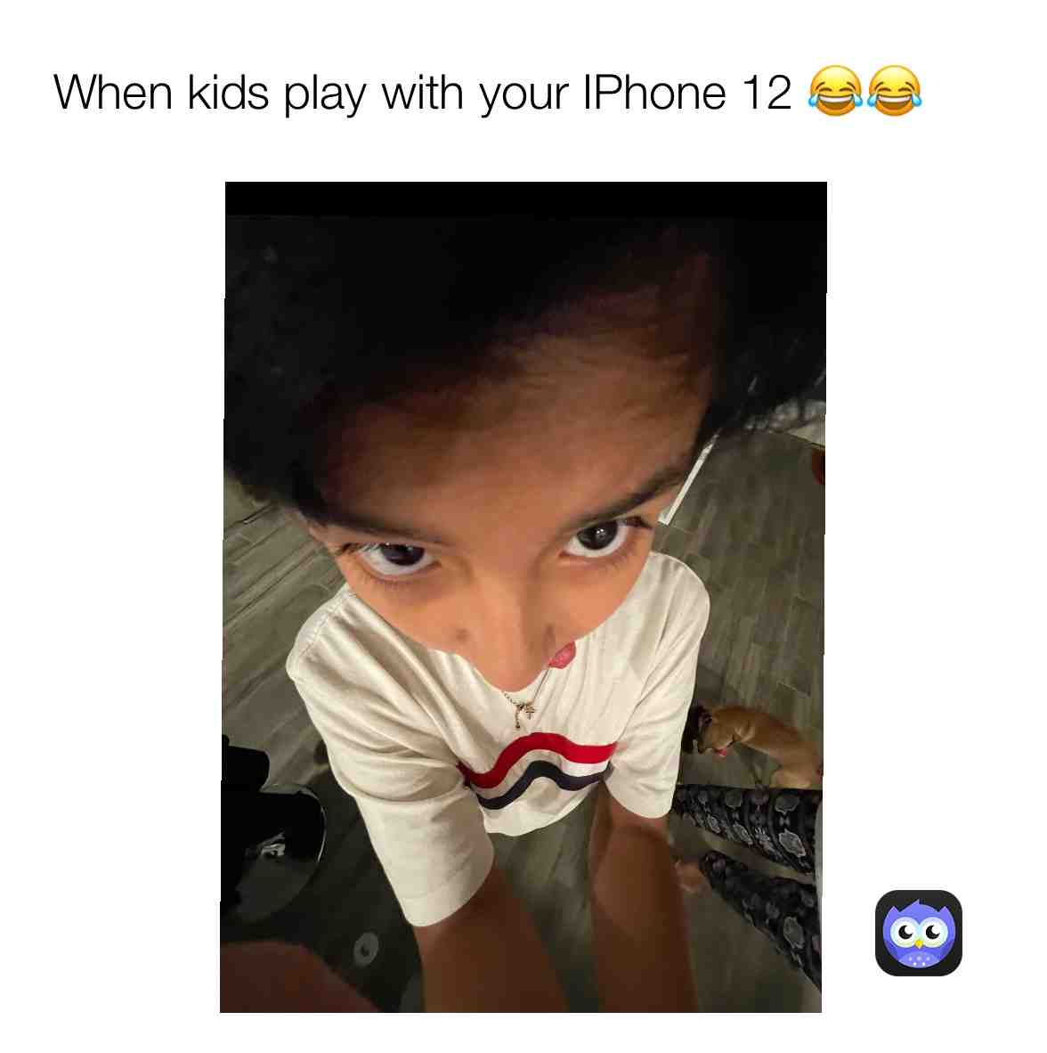 Meme shared by @Gabiko