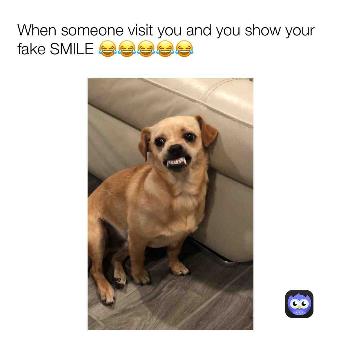 Meme shared by @Gabiko