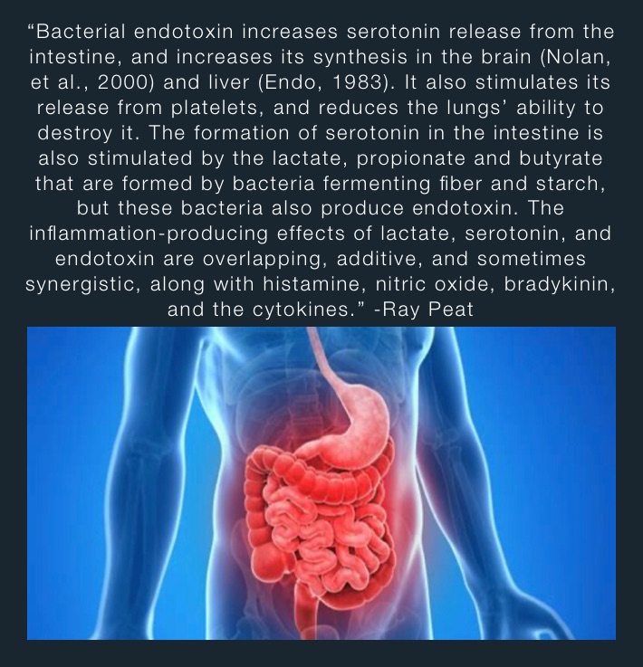 “Bacterial endotoxin increases serotonin release from the intestine