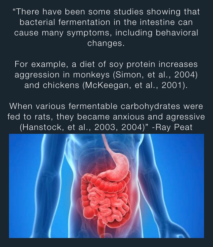 “There have been some studies showing that bacterial fermentation in the intestine can cause many symptoms, including behavioral changes.

For example, a diet of soy protein increases aggression in monkeys (Simon, et al., 2004) and chickens (McKeegan, et al., 2001).

When various fermentable carbohydrates were fed to rats, they became anxious and agressive  (Hanstock, et al., 2003, 2004)” -Ray Peat