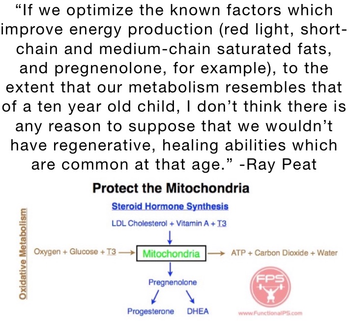 “If we optimize the known factors which improve energy production (red light, short-chain and medium-chain saturated fats, and pregnenolone, for example), to the extent that our metabolism resembles that of a ten year old child, I don’t think there is any reason to suppose that we wouldn’t have regenerative, healing abilities which are common at that age.” -Ray Peat