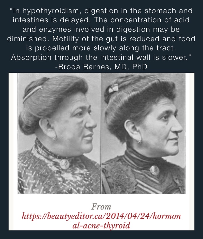 “In hypothyroidism, digestion in the stomach and intestines is delayed. The concentration of acid and enzymes involved in digestion may be diminished. Motility of the gut is reduced and food is propelled more slowly along the tract. Absorption through the intestinal wall is slower.” -Broda Barnes, MD, PhD