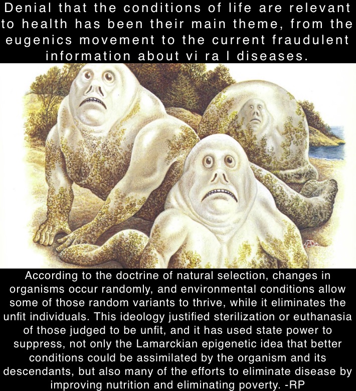 Denial that the conditions of life are relevant to health has been their main theme, from the eugenics movement to the current fraudulent information about vi ra l diseases.  According to the doctrine of natural selection, changes in organisms occur randomly, and environmental conditions allow some of those random variants to thrive, while it eliminates the unfit individuals. This ideology justified sterilization or euthanasia of those judged to be unfit, and it has used state power to suppress, not only the Lamarckian epigenetic idea that better conditions could be assimilated by the organism and its descendants, but also many of the efforts to eliminate disease by improving nutrition and eliminating poverty. -RP