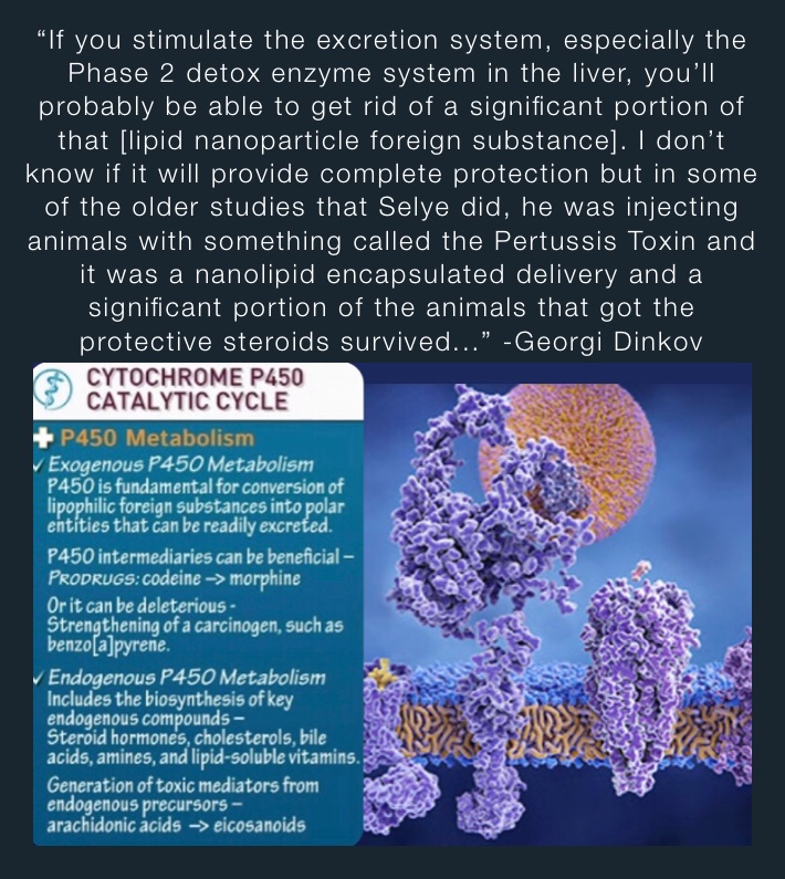 “If you stimulate the excretion system, especially the Phase 2 detox enzyme system in the liver, you’ll probably be able to get rid of a significant portion of that [lipid nanoparticle foreign substance]. I don’t know if it will provide complete protection but in some of the older studies that Selye did, he was injecting animals with something called the Pertussis Toxin and it was a nanolipid encapsulated delivery and a significant portion of the animals that got the protective steroids survived...” -Georgi Dinkov