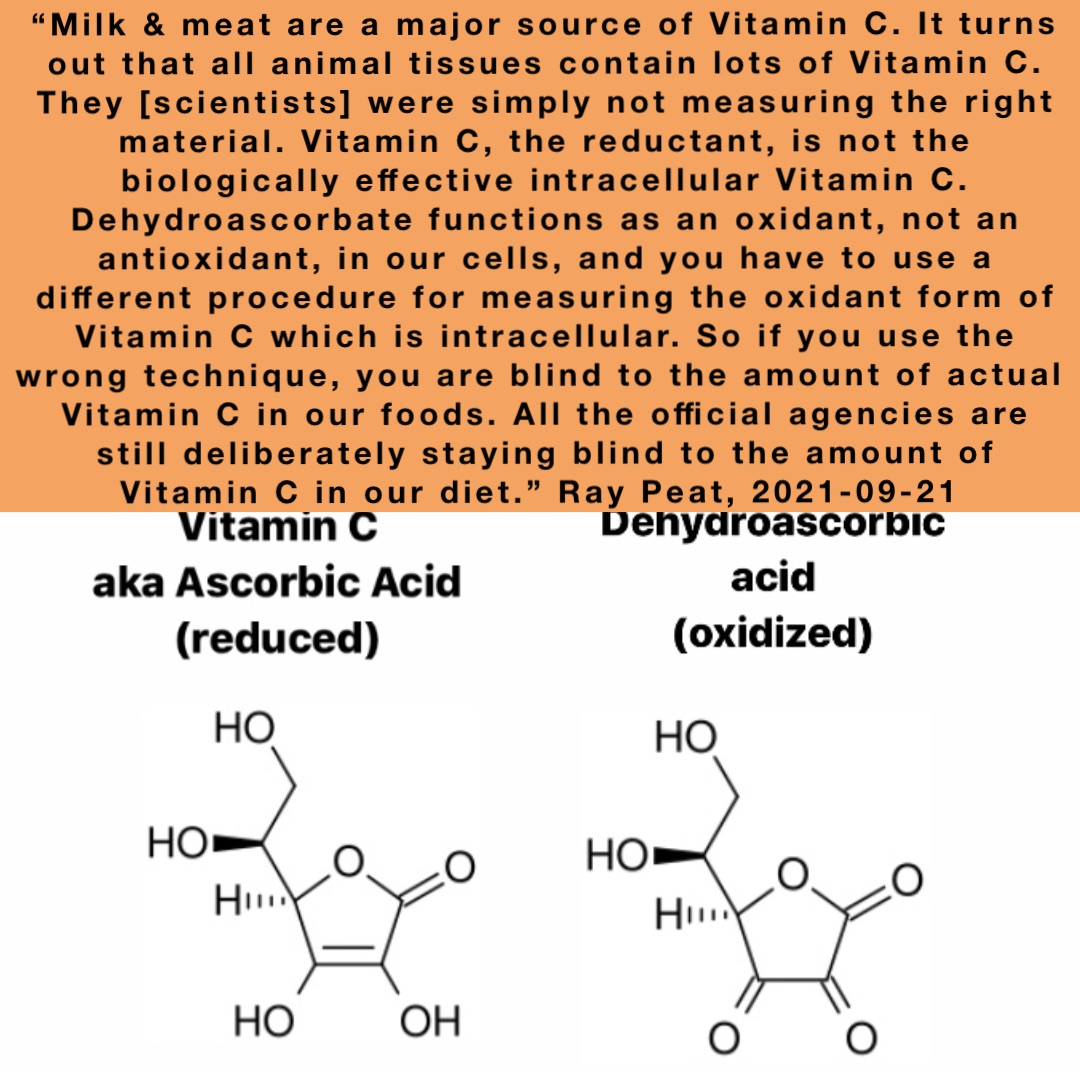 “Milk & meat are a major source of Vitamin C. It turns out that all animal tissues contain lots of Vitamin C. They [scientists] were simply not measuring the right material. Vitamin C, the reductant, is not the biologically effective intracellular Vitamin C. Dehydroascorbate functions as an oxidant, not an antioxidant, in our cells, and you have to use a different procedure for measuring the oxidant form of Vitamin C which is intracellular. So if you use the wrong technique, you are blind to the amount of actual Vitamin C in our foods. All the official agencies are still deliberately staying blind to the amount of Vitamin C in our diet.” Ray Peat, 2021-09-21