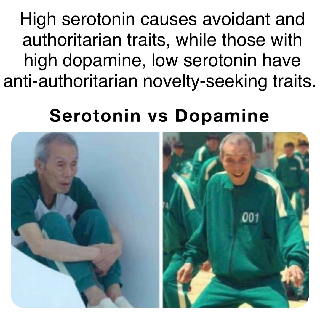 Serotonin vs Dopamine High serotonin causes avoidant and authoritarian traits, while those with high dopamine, low serotonin have anti-authoritarian novelty-seeking traits.