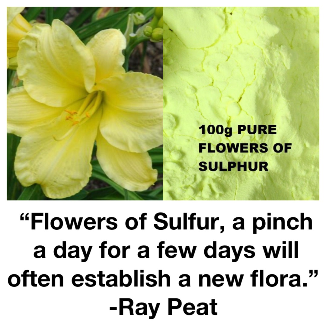 “Flowers of Sulfur, a pinch a day for a few days will often establish a