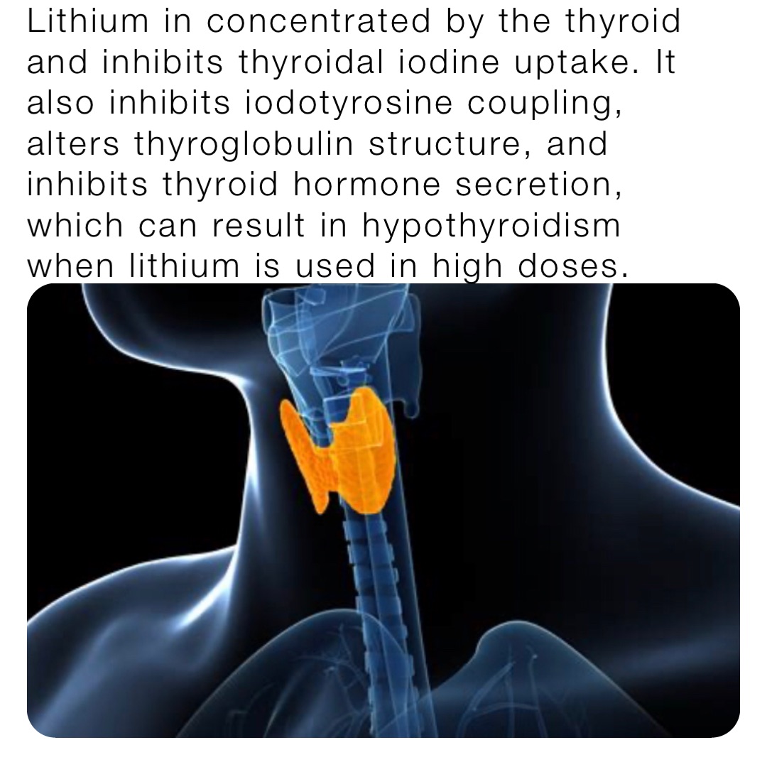 Lithium in concentrated by the thyroid and inhibits thyroidal iodine uptake. It also inhibits iodotyrosine coupling, alters thyroglobulin structure, and inhibits thyroid hormone secretion, which can result in hypothyroidism when lithium is used in high doses.