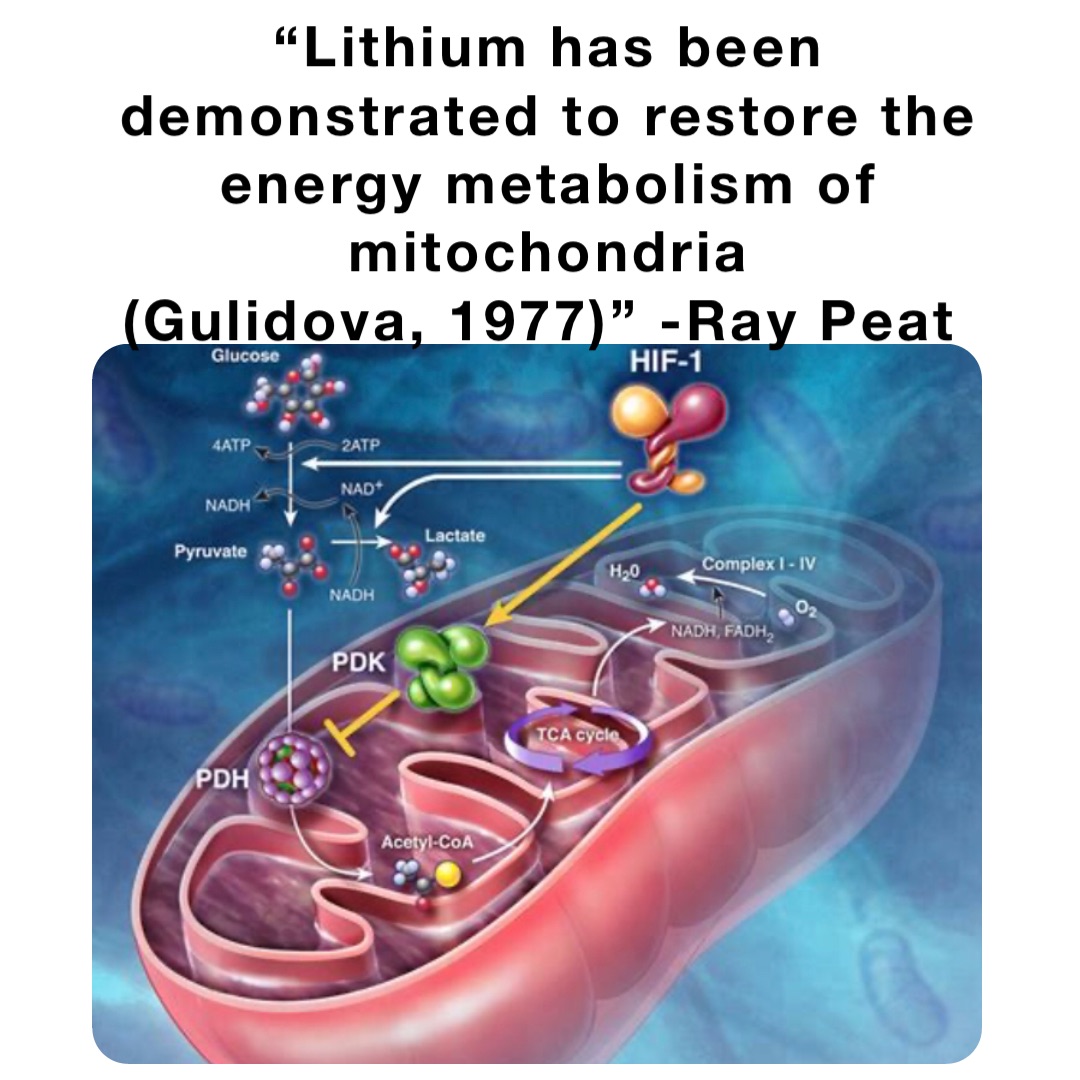 “Lithium has been demonstrated to restore the energy metabolism of mitochondria 
(Gulidova, 1977)” -Ray Peat