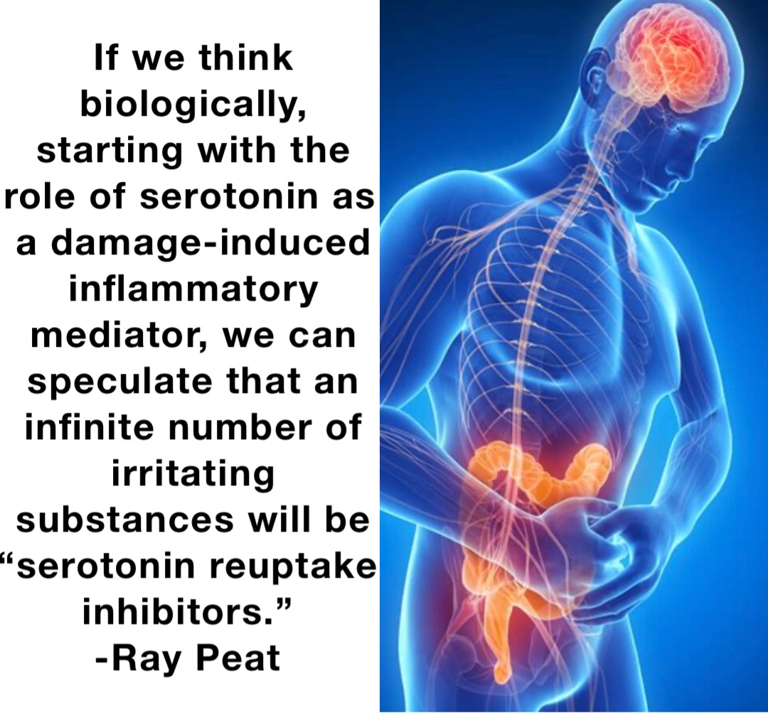If we think biologically, starting with the role of serotonin as a damage-induced inflammatory mediator, we can speculate that an infinite number of irritating substances will be “serotonin reuptake inhibitors.”
-Ray Peat