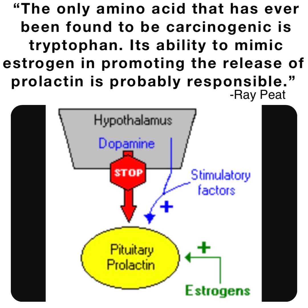 “The only amino acid that has ever been found to be carcinogenic is tryptophan. Its ability to mimic estrogen in promoting the release of prolactin is probably responsible.” -Ray Peat