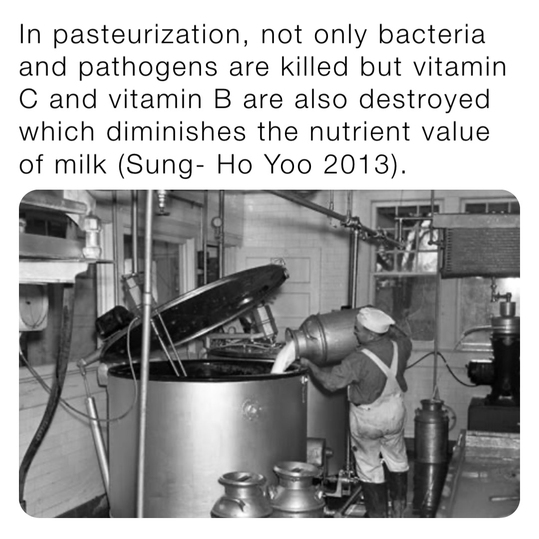 In pasteurization, not only bacteria and pathogens are killed but vitamin C and vitamin B are also destroyed which diminishes the nutrient value of milk (Sung- Ho Yoo 2013).