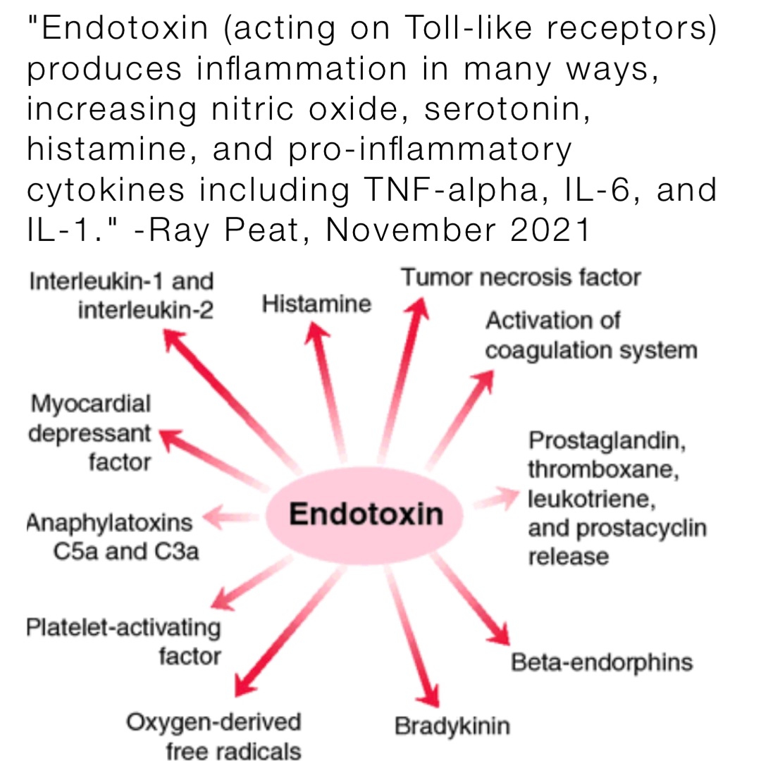 "Endotoxin (acting on Tolllike receptors) produces inflammation in