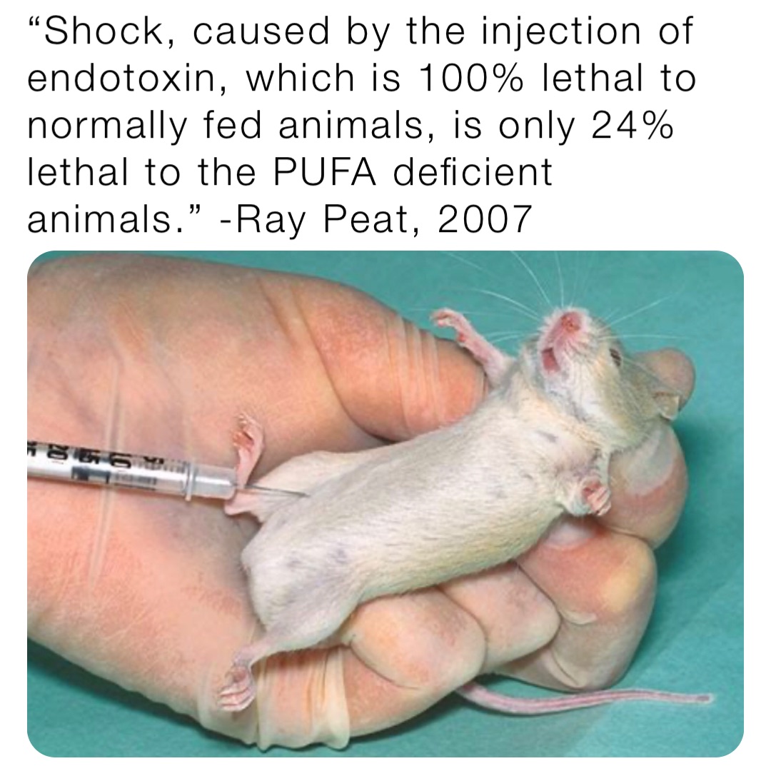 “Shock, caused by the injection of endotoxin, which is 100% lethal to normally fed animals, is only 24% lethal to the PUFA deficient animals.” -Ray Peat, 2007