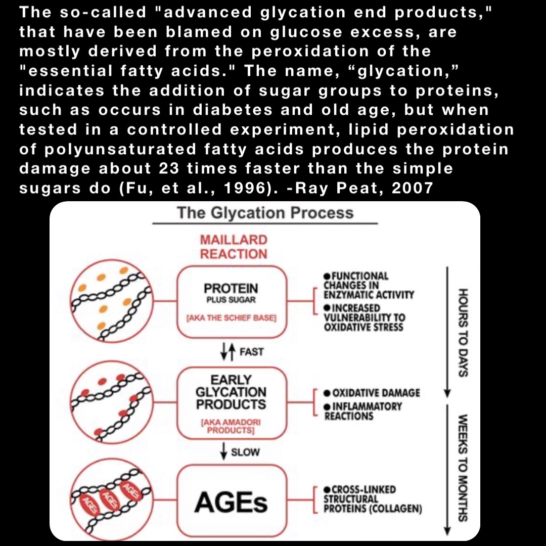 The so-called "advanced glycation end products," that have been blamed on glucose excess, are mostly derived from the peroxidation of the "essential fatty acids." The name, “glycation,” indicates the addition of sugar groups to proteins, such as occurs in diabetes and old age, but when tested in a controlled experiment, lipid peroxidation of polyunsaturated fatty acids produces the protein damage about 23 times faster than the simple sugars do (Fu, et al., 1996). -Ray Peat, 2007