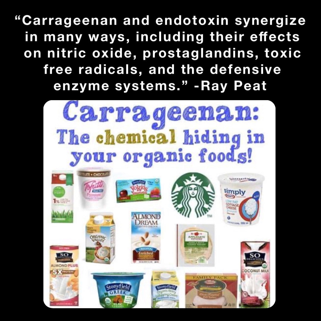 “Carrageenan and endotoxin synergize in many ways, including their effects on nitric oxide, prostaglandins, toxic free radicals, and the defensive enzyme systems.” -Ray Peat