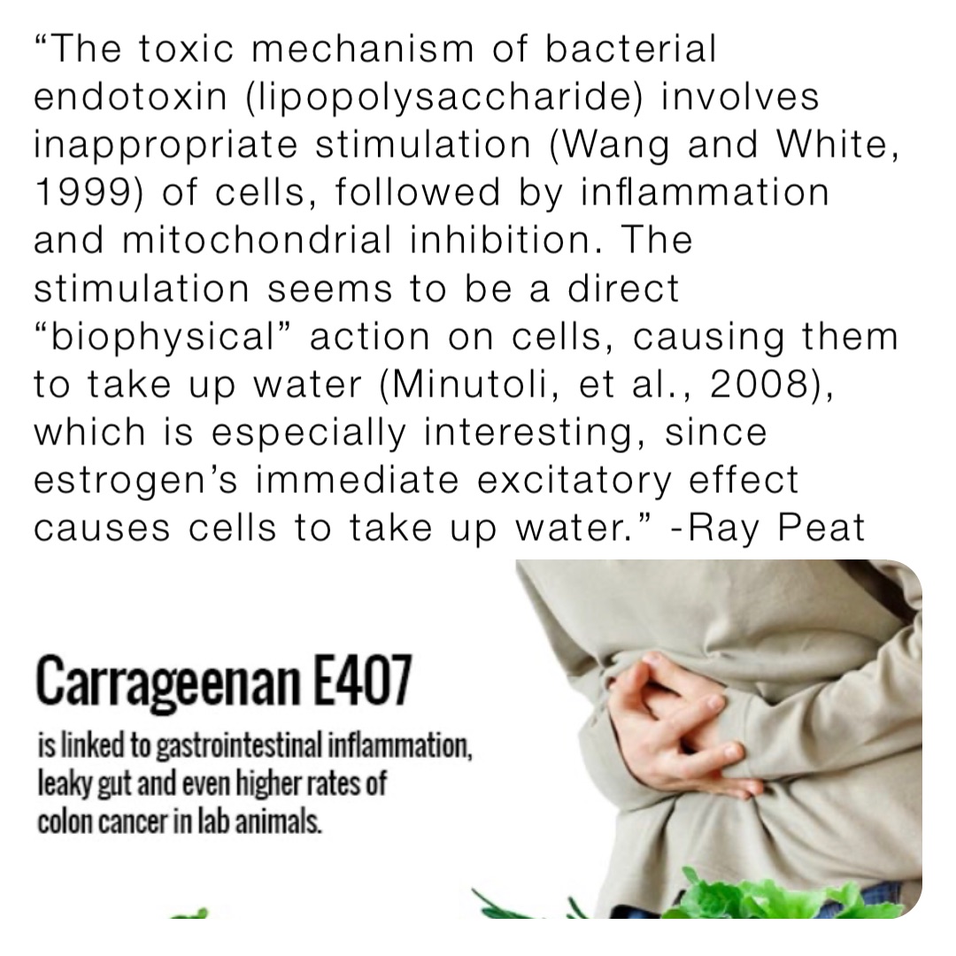 “The toxic mechanism of bacterial endotoxin (lipopolysaccharide) involves inappropriate stimulation (Wang and White, 1999) of cells, followed by inflammation and mitochondrial inhibition. The stimulation seems to be a direct “biophysical” action on cells, causing them to take up water (Minutoli, et al., 2008), which is especially interesting, since estrogen’s immediate excitatory effect causes cells to take up water.” -Ray Peat