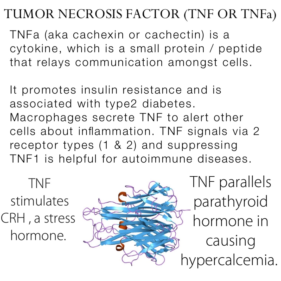 TNFa (aka cachexin or cachectin) is a cytokine, which is a small protein / peptide that relays communication amongst cells. 

It promotes insulin resistance and is associated with type2 diabetes.  Macrophages secrete TNF to alert other cells about inflammation. TNF signals via 2 receptor types (1 & 2) and suppressing TNF1 is helpful for autoimmune diseases. TUMOR NECROSIS FACTOR (TNF OR TNFa) TNF parallels parathyroid hormone in causing hypercalcemia. TNF stimulates CRH , a stress hormone.