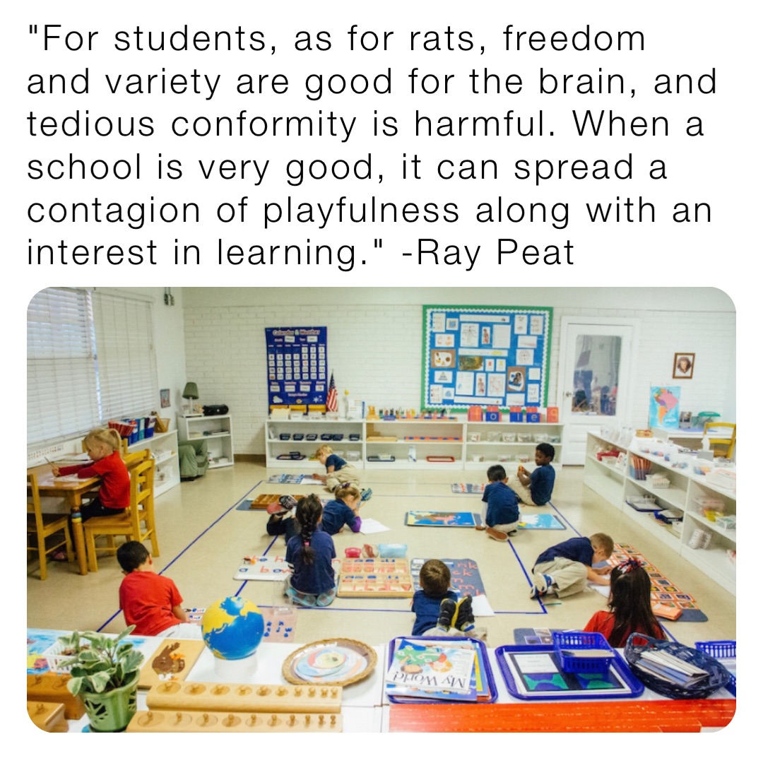 "For students, as for rats, freedom and variety are good for the brain, and tedious conformity is harmful. When a school is very good, it can spread a contagion of playfulness along with an interest in learning." -Ray Peat