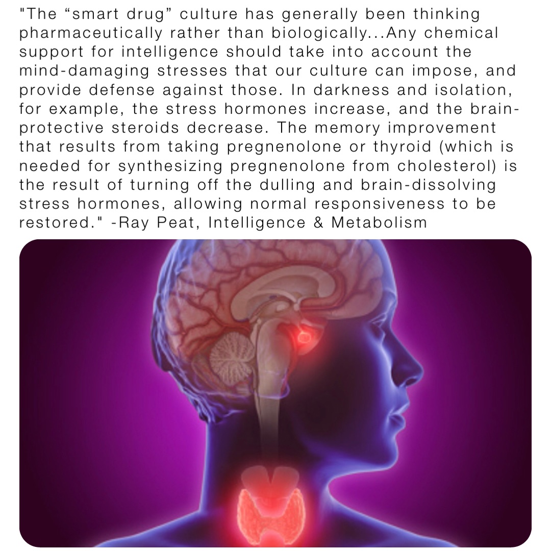 "The “smart drug” culture has generally been thinking pharmaceutically rather than biologically...Any chemical support for intelligence should take into account the mind-damaging stresses that our culture can impose, and provide defense against those. In darkness and isolation, for example, the stress hormones increase, and the brain-protective steroids decrease. The memory improvement that results from taking pregnenolone or thyroid (which is needed for synthesizing pregnenolone from cholesterol) is the result of turning off the dulling and brain-dissolving stress hormones, allowing normal responsiveness to be restored." -Ray Peat, Intelligence & Metabolism