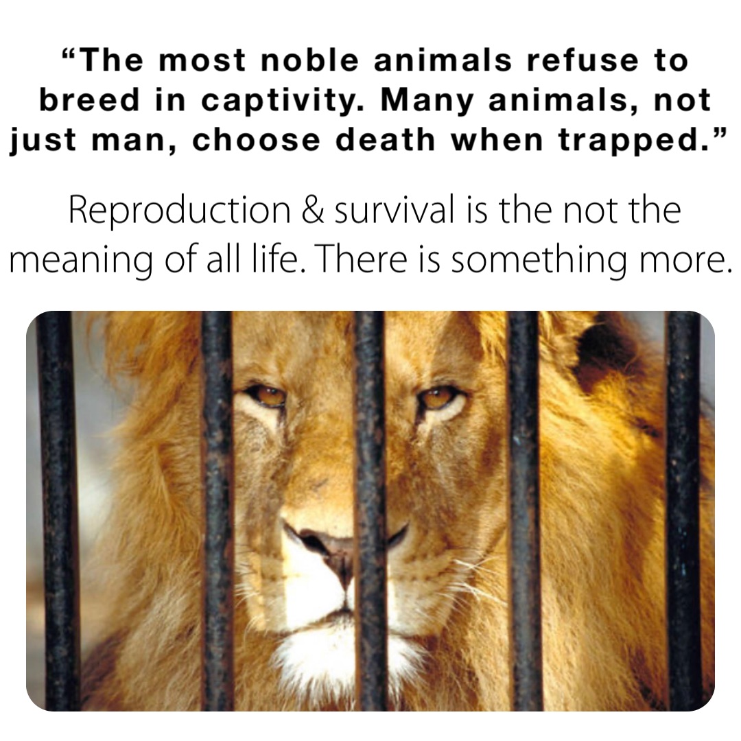 “The most noble animals refuse to breed in captivity. Many animals, not just man, choose death when trapped.” Reproduction & survival is the not the meaning of all life. There is something more.